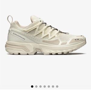 NWOT Salomon ACS + OG sneakers